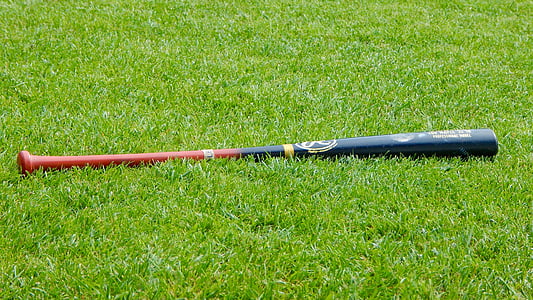black and red baseball bat on grass field thumbnail
