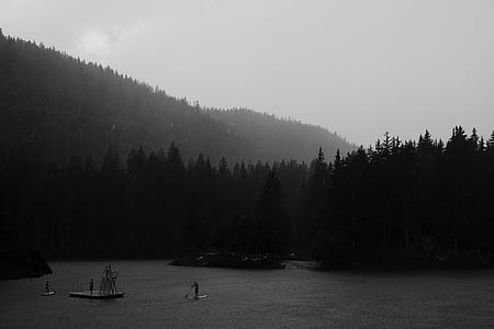 photo of person using paddle board on body of water in forest thumbnail