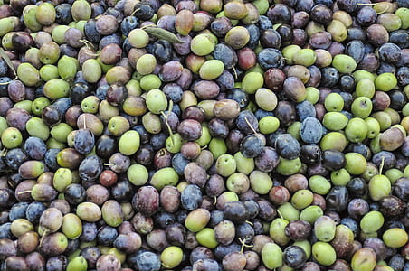 green and grey fruits thumbnail