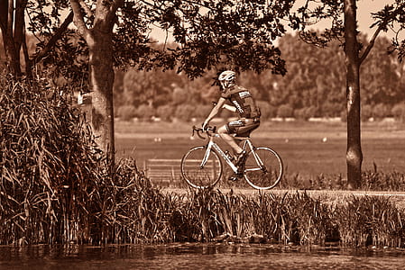 bicycle rider on the road thumbnail