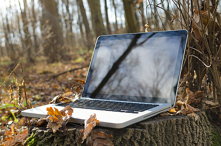 unfold silver laptop with black screen on log thumbnail