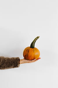 Women's hands in sweater are holding pumpkin thumbnail