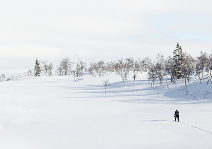 man standing on snow covered field thumbnail