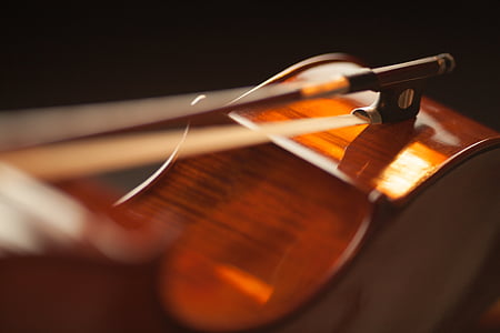 selective focus photography of violin thumbnail