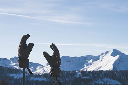 closed-up photo of pair of brown gloves with forest and mountain background thumbnail