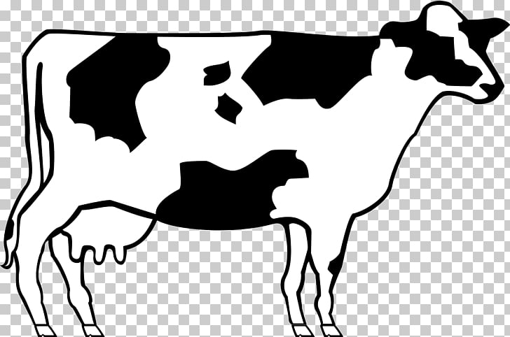 Ayrshire Cattle Beef Cattle Shorthorn Cow Png Clipart Free