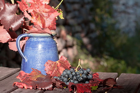 bokeh shot of blue ceramic pitcher and grapes thumbnail