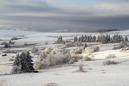 snowfield during cloudy sky thumbnail