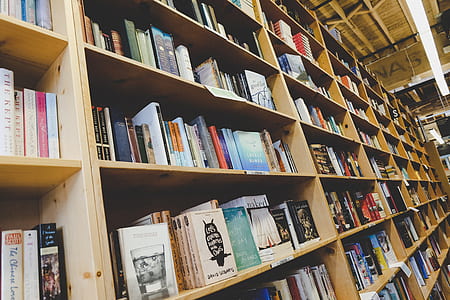 person taking photo of bookshelf in library thumbnail