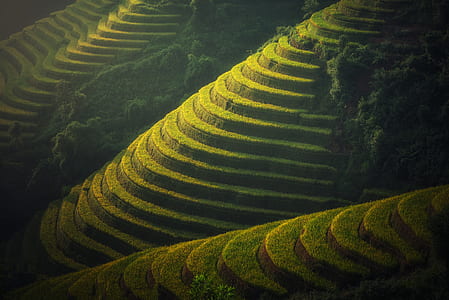 Rice Terraces thumbnail