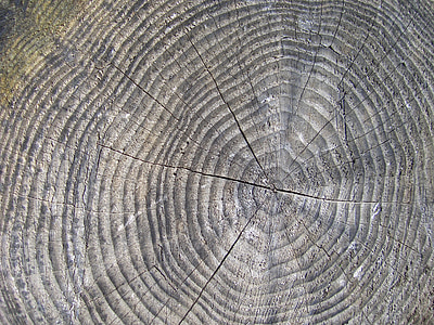 brown and black wood thumbnail
