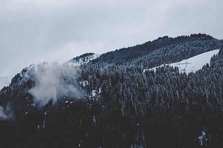 aerial photography of mountain and trees thumbnail