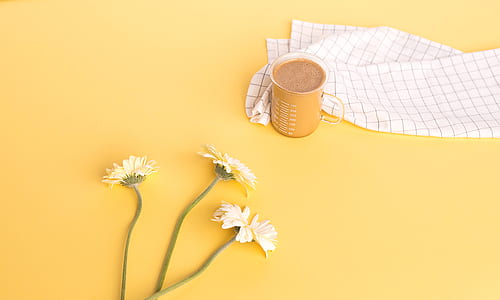 three white petaled flowers beside brown ceramic mug thumbnail