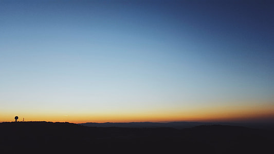 silhouette photo of tree thumbnail