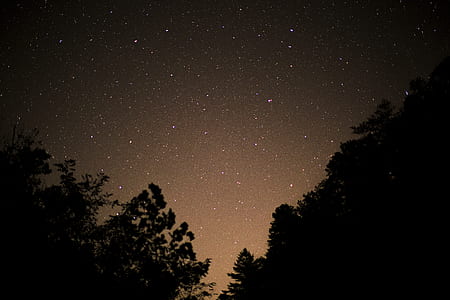 starry starry nights thumbnail