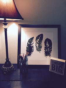 Black Feathers Painting Beside Brown and Black Lamp Shade thumbnail