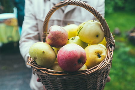 apples in basket thumbnail