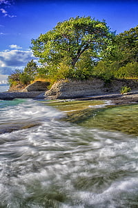 green and brown trees beside sea under clear blue sky during daytime thumbnail