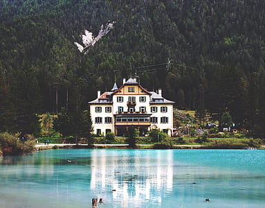 house near body of water with trees in the back thumbnail