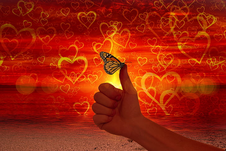 heart-love-like-thumb.jpg