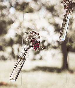 red daisy on clear glass hanging vase thumbnail