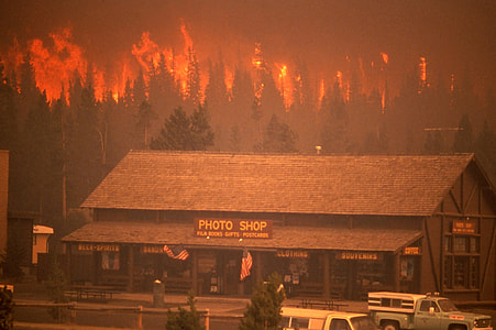 Crown fire approaches the Old Faithful complex in 1988 thumbnail