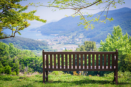 brown wooden slatted bench near green trees thumbnail