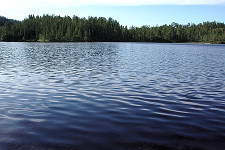 clam body of water near tall and green trees thumbnail