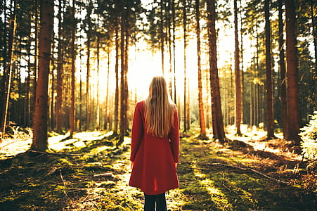 light, landscape, nature, person thumbnail