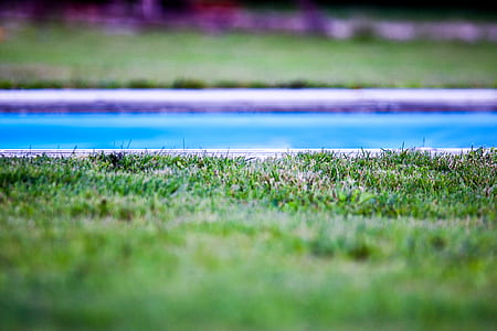 water, garden, grass, park thumbnail