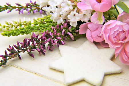 pink and white petal flowers thumbnail