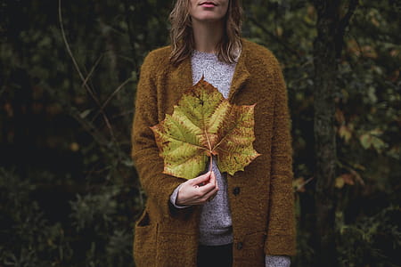 Large Fall Leaf In Hand Photo thumbnail