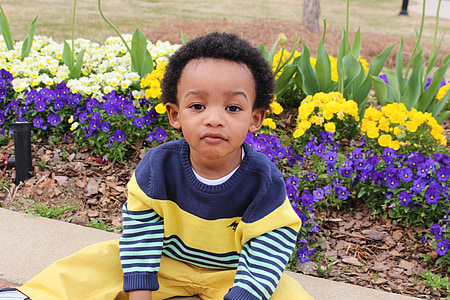 boy sitting beside multicolored petaled flowers thumbnail