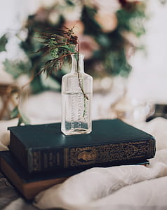 leafed plant on glass bottle filled with water on top of book during daytime thumbnail