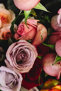 purple, red, and pink rose bouquet thumbnail