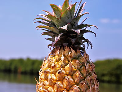 green and yellow pineapple thumbnail