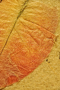 orange leaf thumbnail