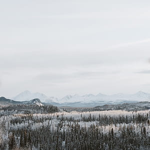 snow-capped land formation photo during foggy day thumbnail
