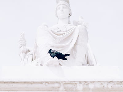 crown on white concrete statue thumbnail