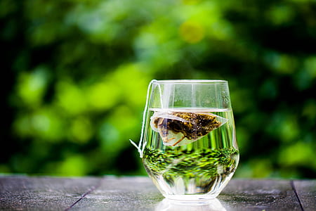 brown teabag in clear drinking glass thumbnail