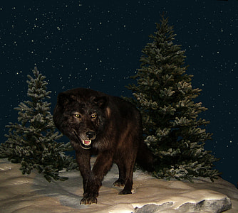 black wolf illustration thumbnail