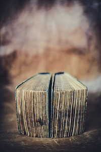 bokeh photography of two blue covered books beside each other thumbnail