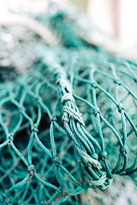 selective focus photography of teal net thumbnail