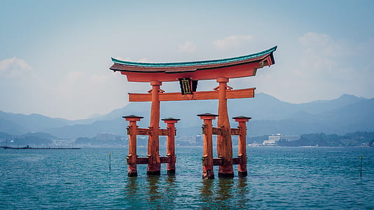 orange torii gate surrounded with body of water during daytime thumbnail