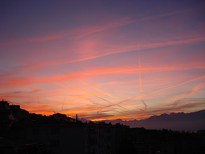 silhouette of houses and trees under orange sunset thumbnail