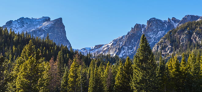 Green Tall Trees Near Mountains thumbnail