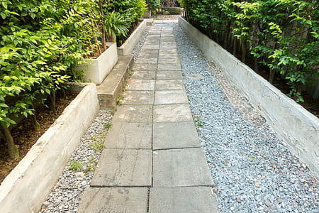 landscape, nature, garden, trees thumbnail