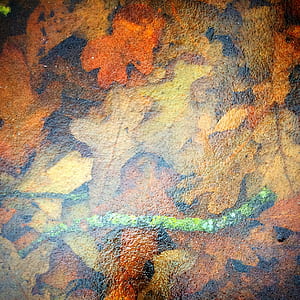 ice, water, frozen, winter thumbnail
