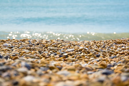 seashore at daytime thumbnail