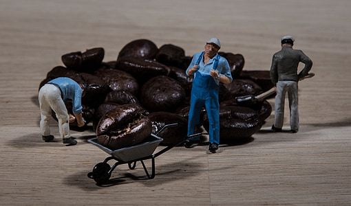 brown coffee beans thumbnail